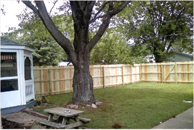 Wood Fence Evansville, In